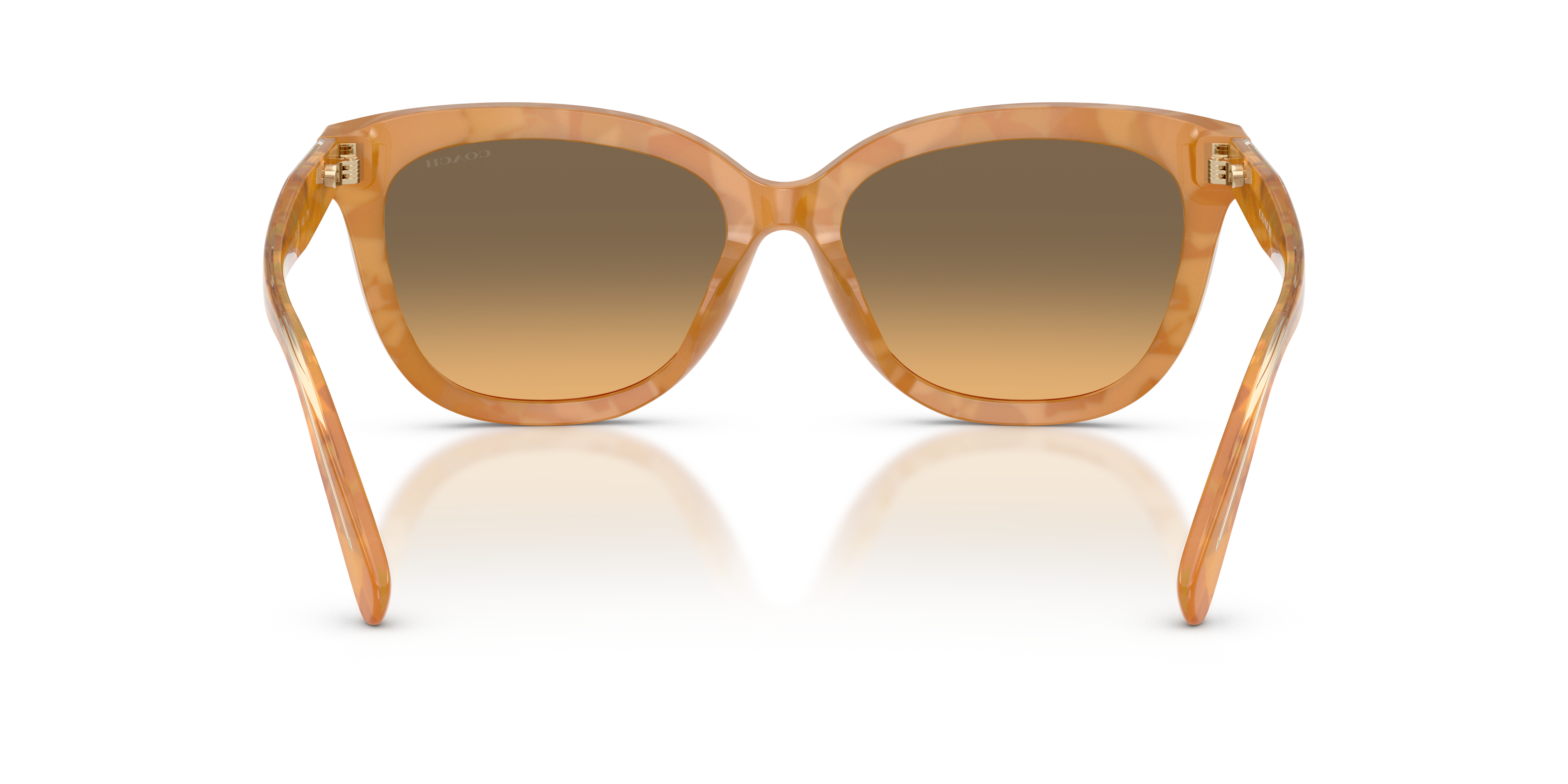 Coach HC8453U 593911 Cdp53 